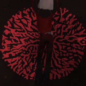 Dos alt.jpg